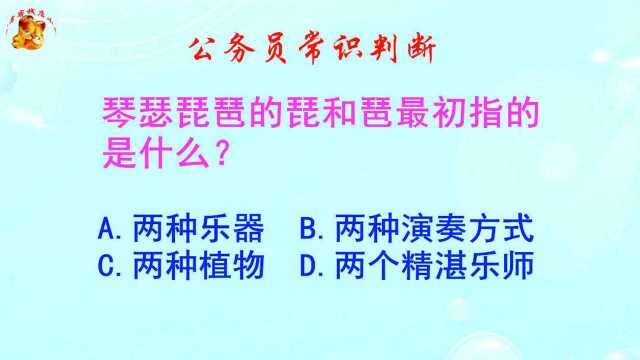 公务员常识判断,琴瑟琵琶的琵和琶最初指的是什么?难倒了学霸