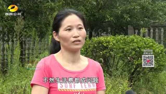 长沙农村商业银行:爱心成就梦想 真情点燃希望