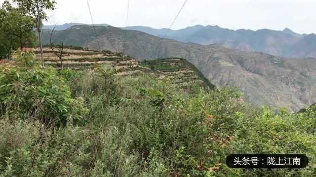 走进甘肃陇南文县岷山山脉,看山村人家安逸的小村庄!