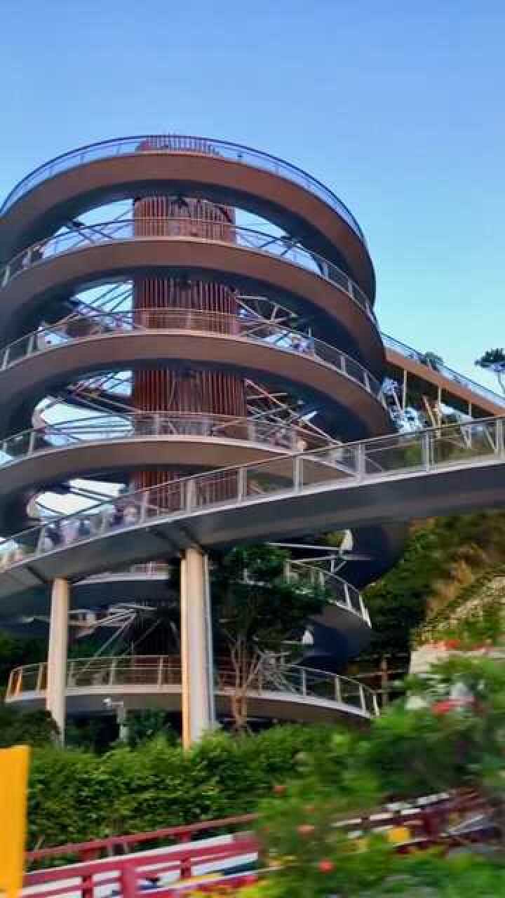 网红打卡地 厦门的环岛路木栈道 还挺有特色的!