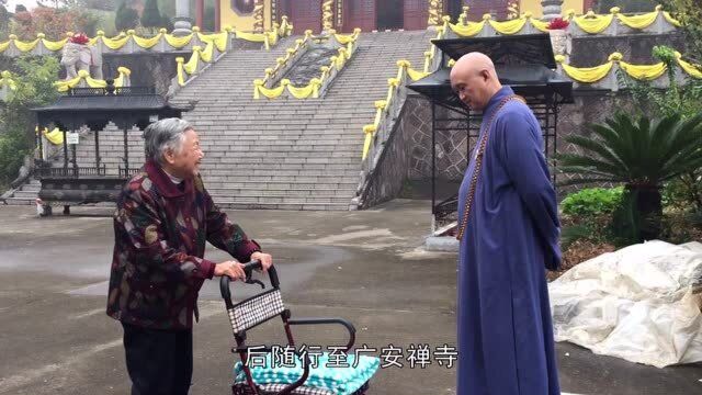 奚萍葆人物记实录