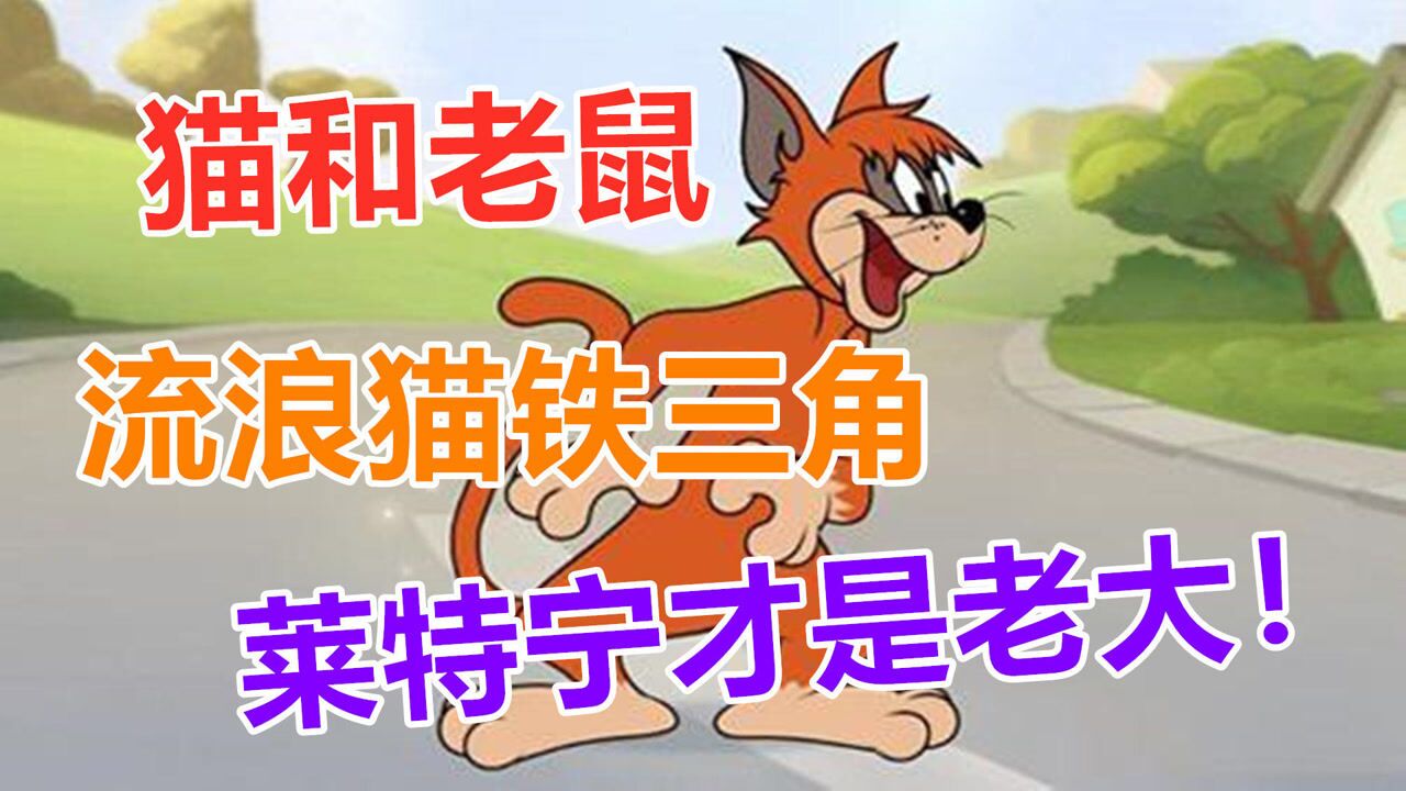 猫和老鼠:流浪猫铁三角组合,莱特宁才是老大!