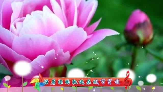 5858今天5月8日,送你一首情歌,不想做你的过客,好听柔情!