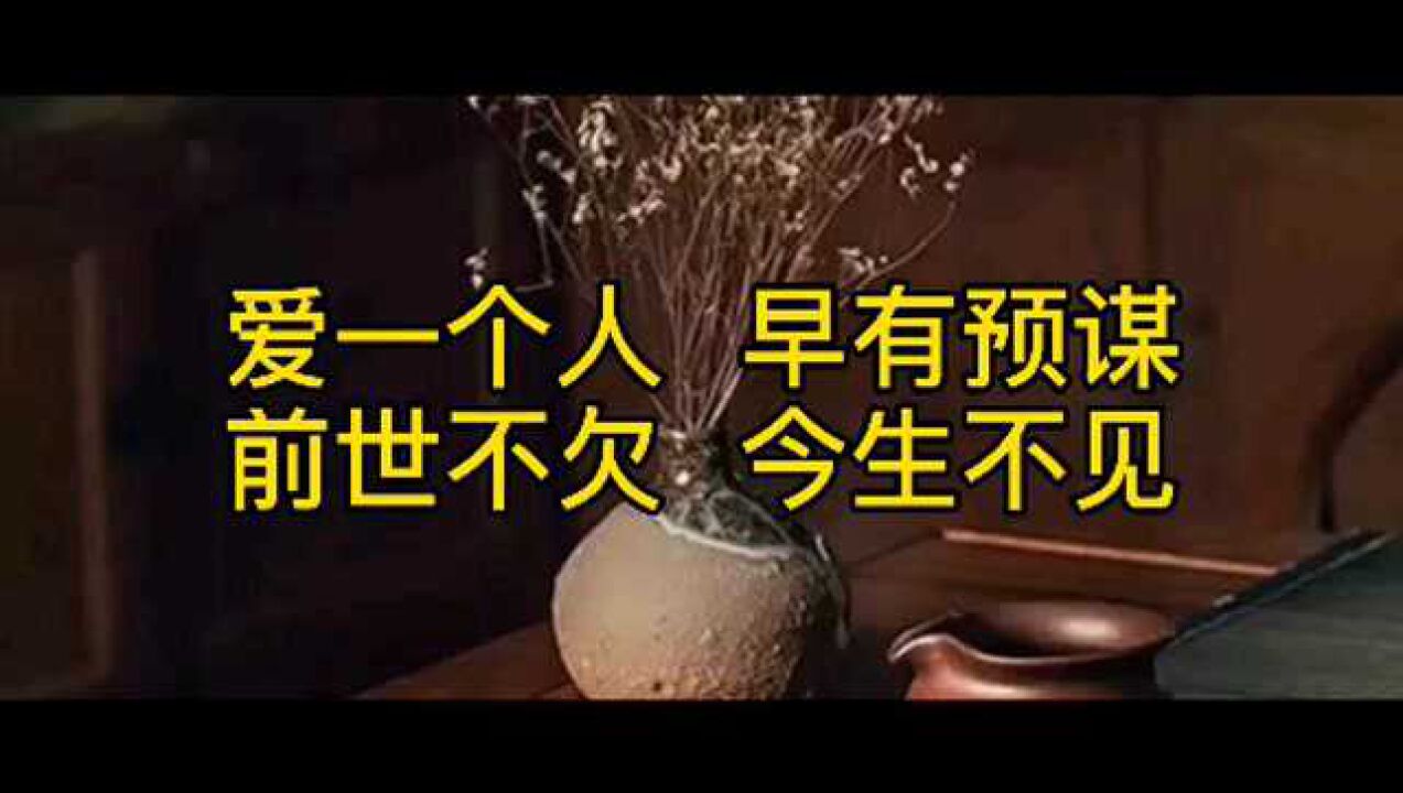 爱一个人早有预谋前世不欠今生不见