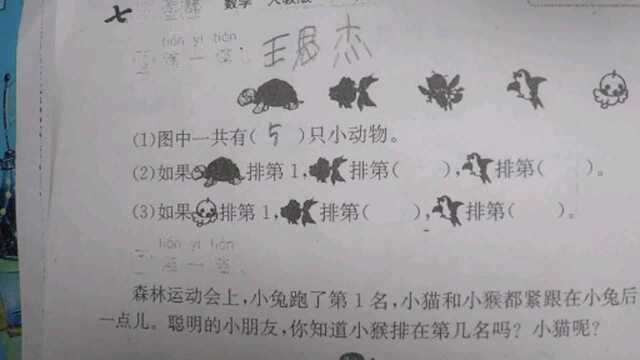 乐乐一年级数学小卷练习1