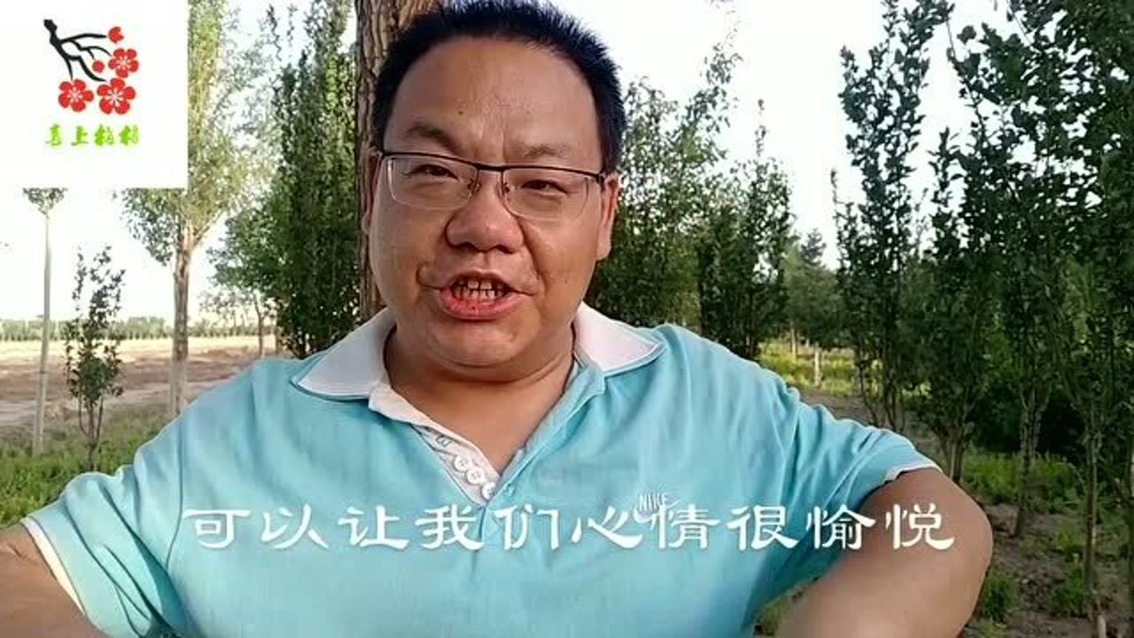 每天按摩章门穴,疏肝健脾调五脏,去烦躁_腾讯视频