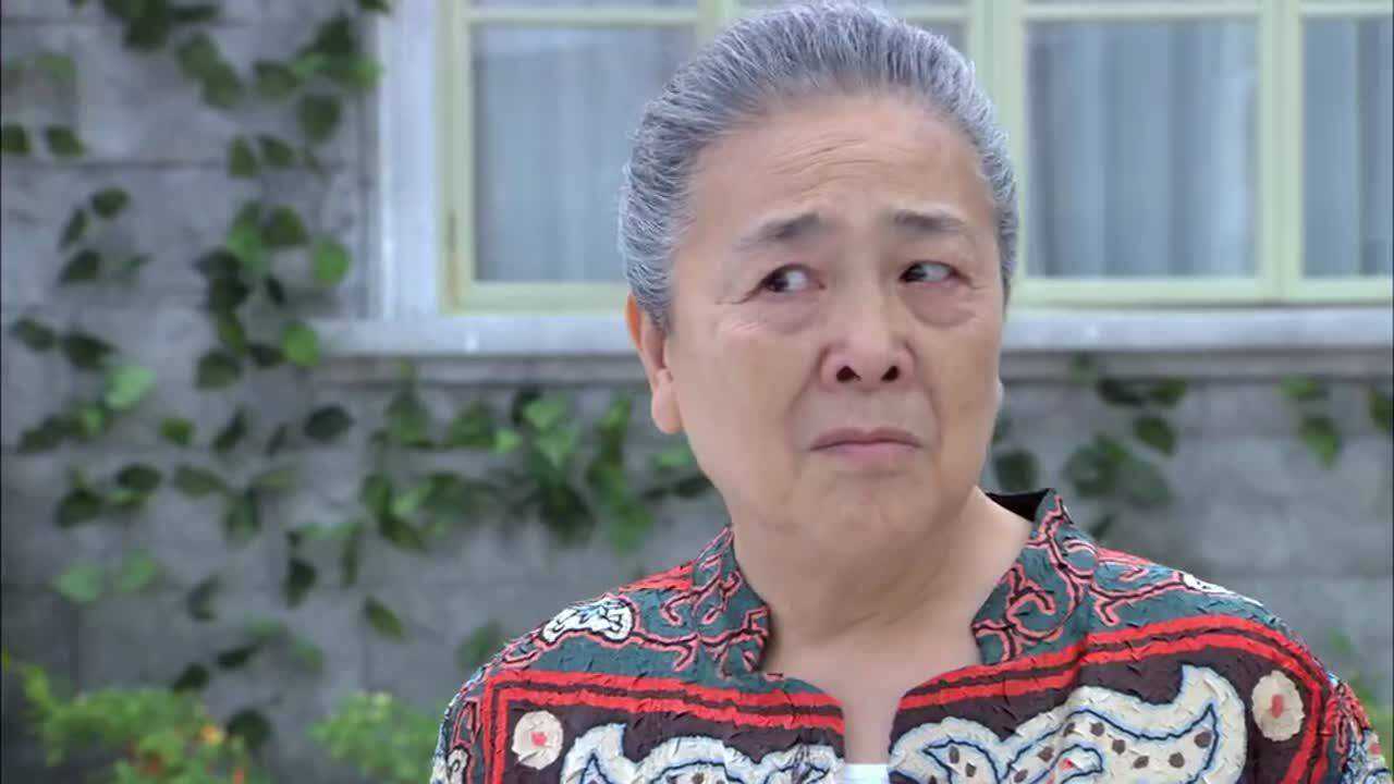 麻辣芳邻:孩子惹祸了,第一时间找老杨,这可以啊!