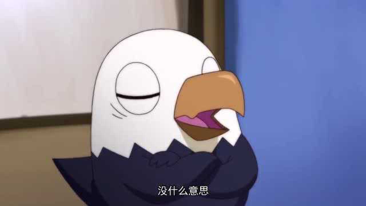 那年那兔那些事儿兔子鹰酱全程高能对话一般人还真听不懂