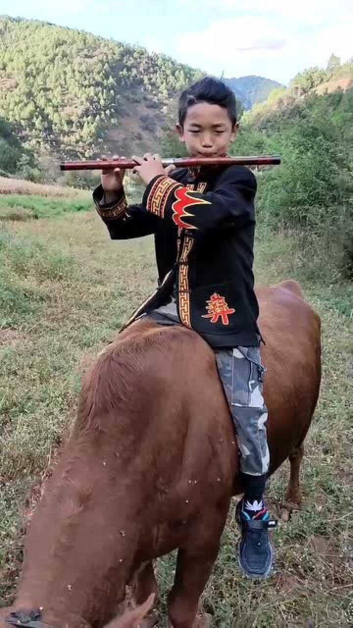 农村放牛娃这笛子吹奏的真不赖有才