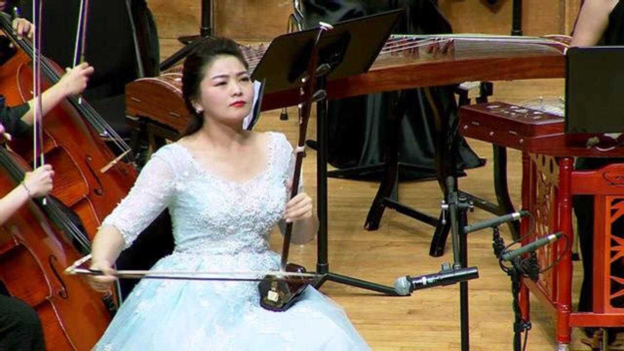 阿曼尼莎闫国威二胡演奏