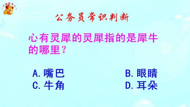 公务员常识判断,心有灵犀的灵犀指的是犀牛的哪里?难倒了考生