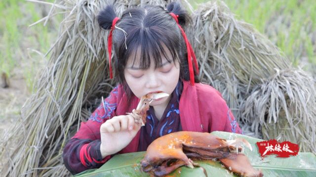 姑娘秘制手撕兔,坐在稻草堆一个人吃,狗子在旁边看得流口水