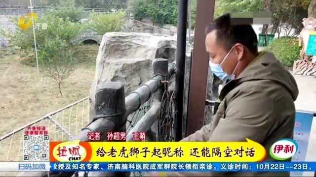 货车司机“跨界”养猛兽 给老虎狮子起名字 还能和它们隔空对话!