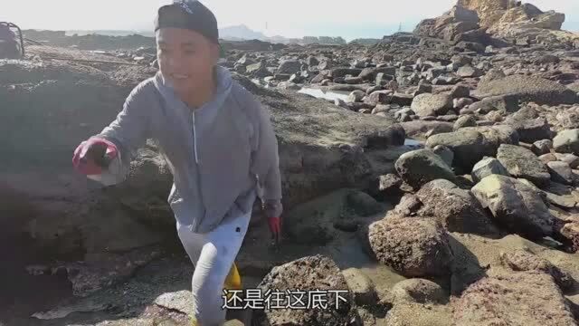 海坑盘干美女跟着大叔激动了,真想让美女抓螃蟹试试