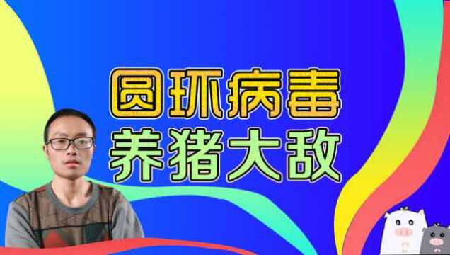 猪圆环病毒危害有多大,这5种猪病就是它引起的,养猪人要警惕!