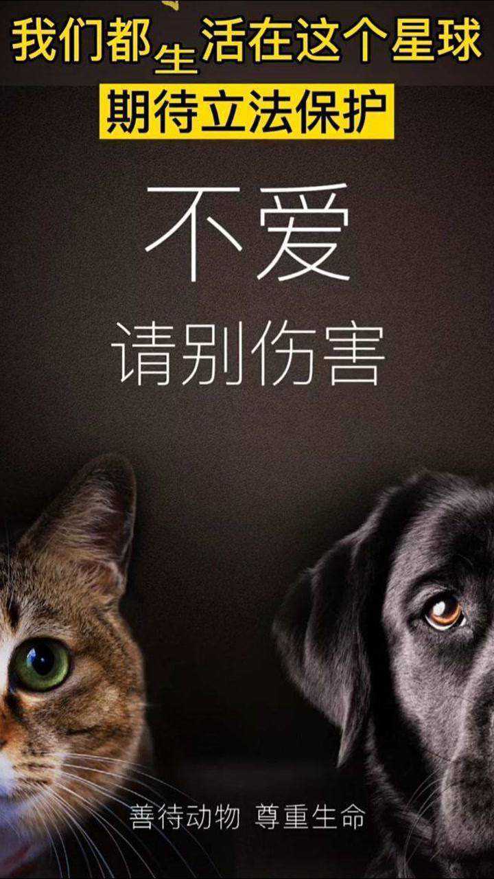 我们生活在同一个地球不爱请别伤害