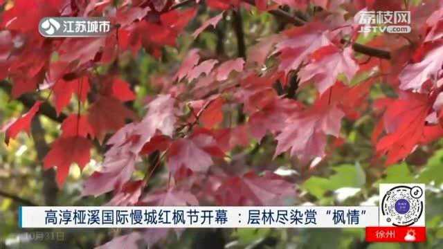 高淳桠溪国际慢城红枫节开幕 千亩唯美红枫等你来赏!