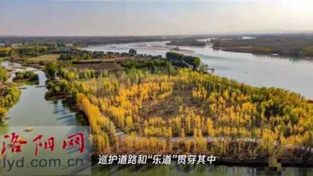 吉利黄河湿地国家级自然保护区:秋色斑斓景迷人 水鸟群飞别样美