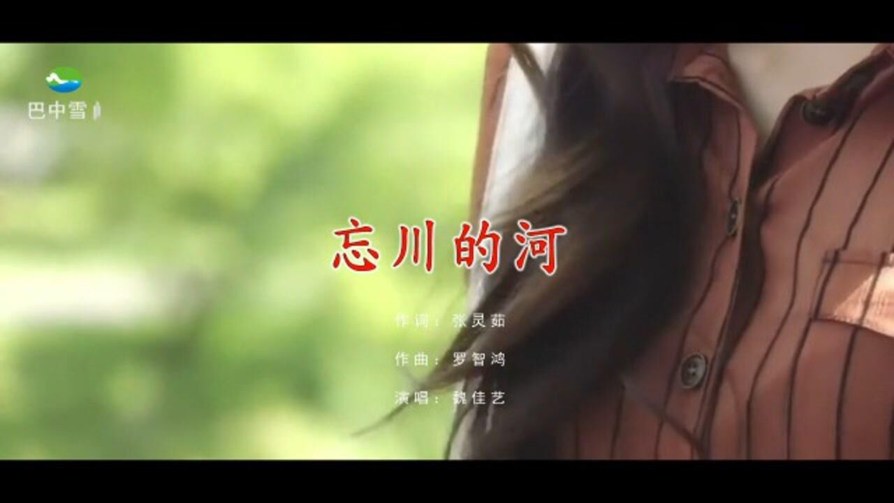 魏佳艺 - 忘川的河