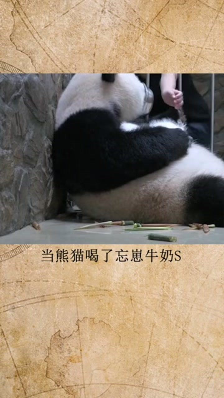 这些忘崽牛奶果然厉害啊喝了之后连自己的崽都不认得