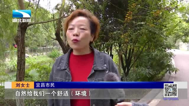 优雅画卷!宜昌运河公园美如画,引得“百鸟”来安家