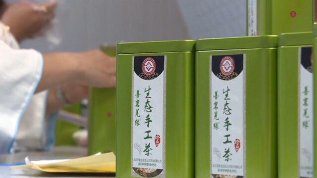 文化扶贫在行动ⷥ››川篇“救命”老茶树与制茶脱贫的不解之缘