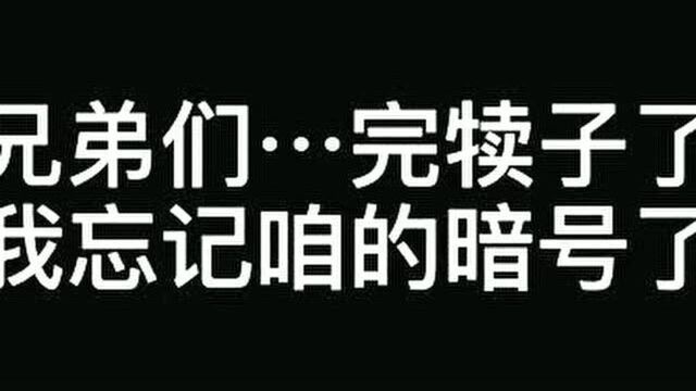 段友皮爹们!这些年的暗号[灵光一闪]咱都贡献一下