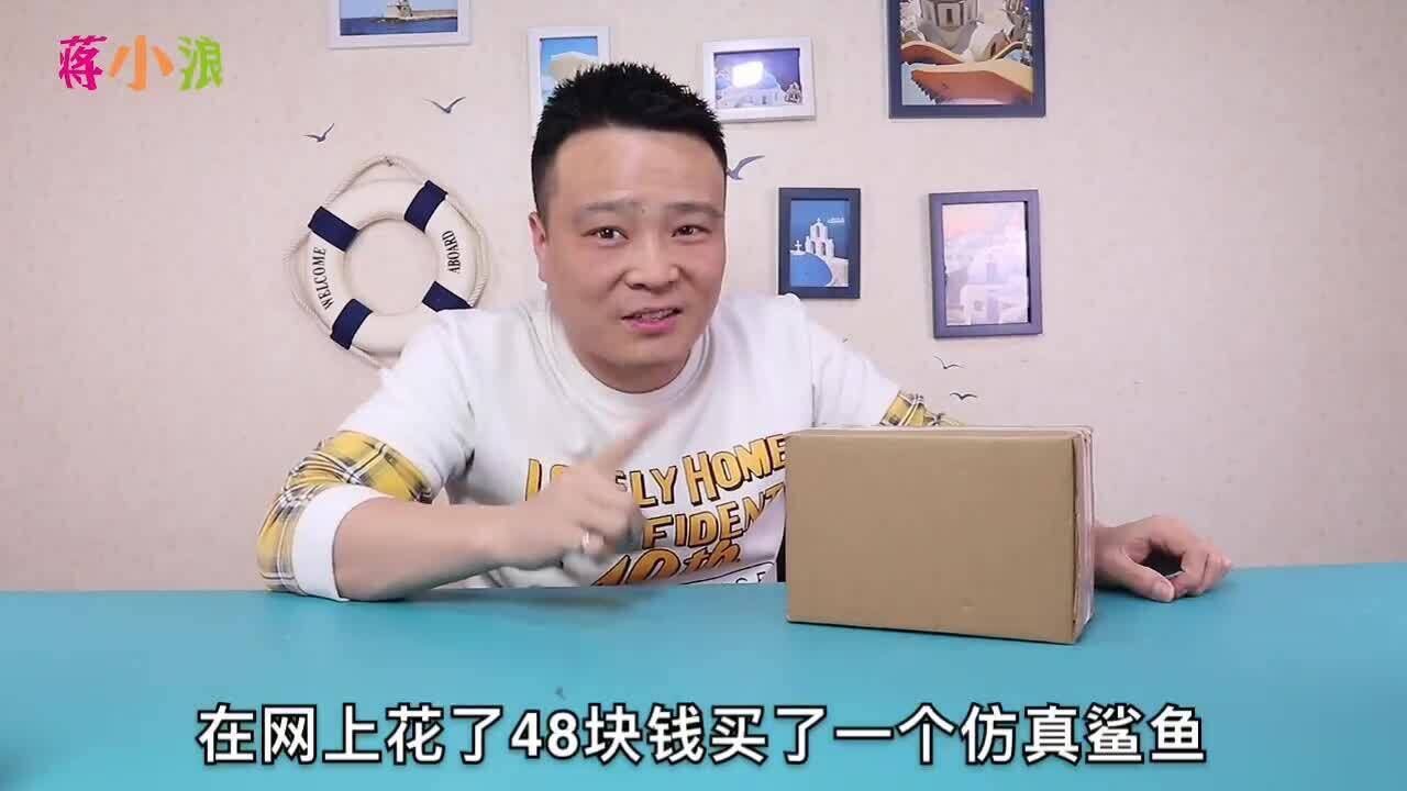 玩具开箱小浪哥花48买仿真鲨鱼和六角恐龙鱼在一起会发生什么