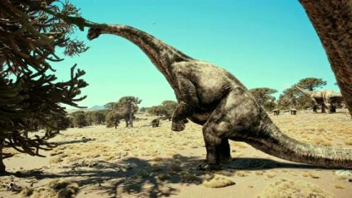 巴塔哥尼亚的巨型恐龙化石壮丽非凡！但是也留给了我们史前的谜团！