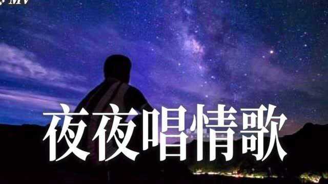 杯中流淌多少眼泪,寂寞是手中烟燃烧的灰《夜夜唱情歌》伤感情歌