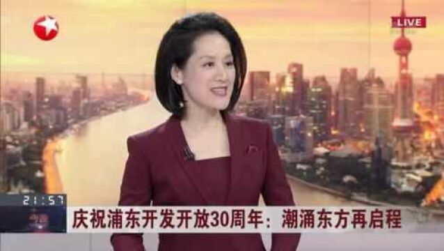 庆祝浦东开发开放30周年:潮涌东方再启程 浦东“模式”是双向开放、系统创新和改革集成