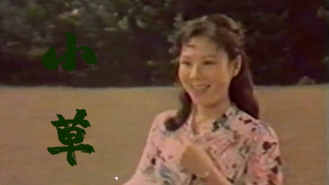 1986年老《芳草心》主题曲《小草》，熟悉的旋律，千古传诵！_高清