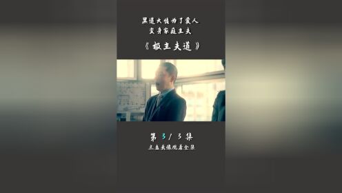 《极主夫道》：这样最硬核的男人，你爱了吗？