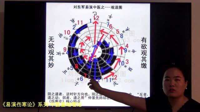 6中医的整体观念:一年中人体容易得的病分析