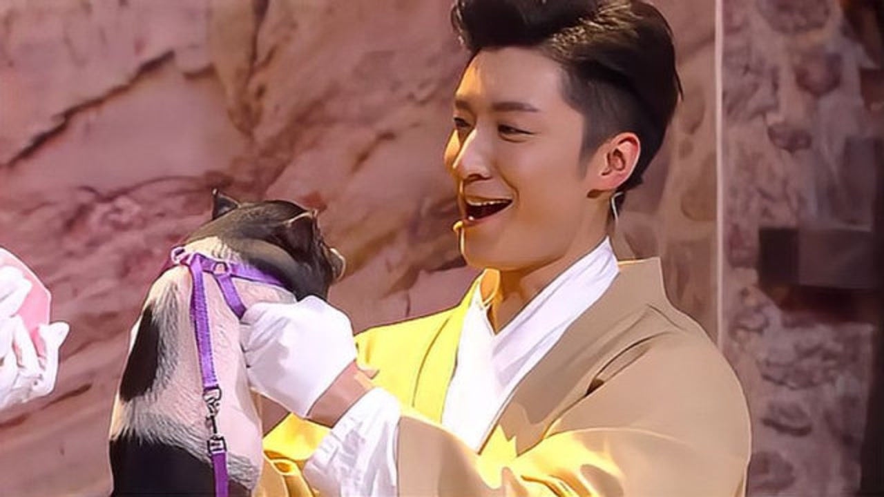 综艺:乔任梁现场亲小猪,全场的笑点被承包,戏太足了笑死我了!