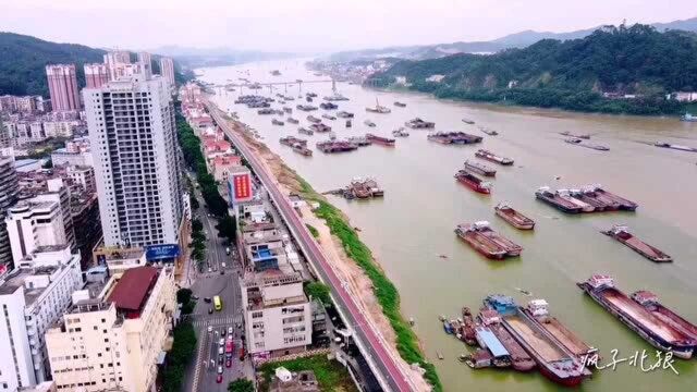 两广交界处,粤语发源地的城市不属于广东,而是广西的