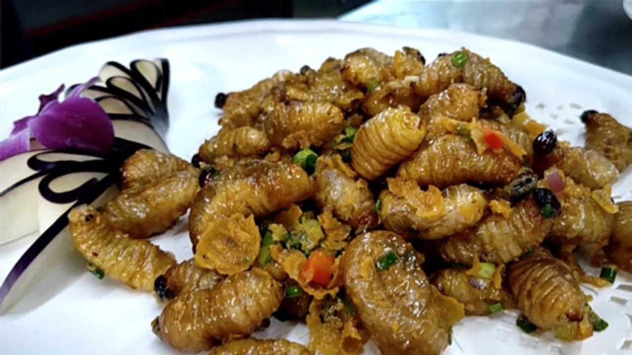 竹象虫养殖的人越来越多一个周期有多长呢我们一起来了解一下