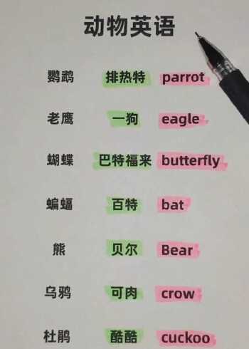 蝴蝶用英语怎么说图片