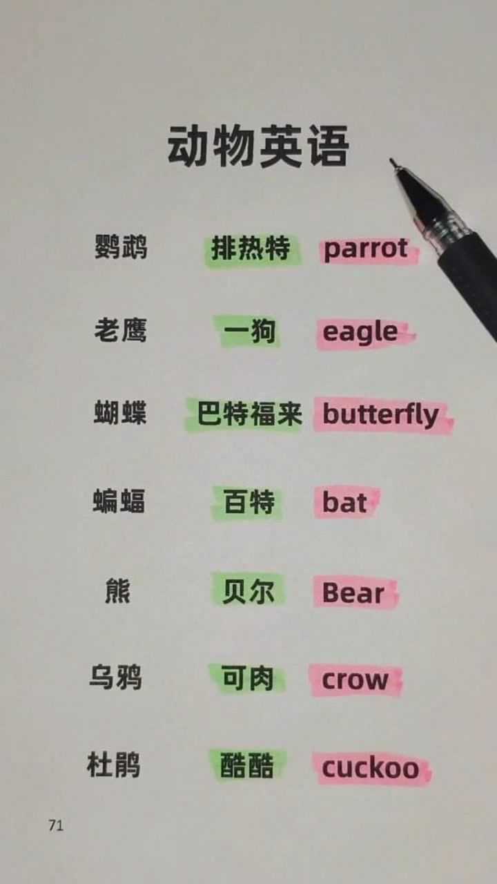 蝴蝶用英语改怎么读你们学会了吗