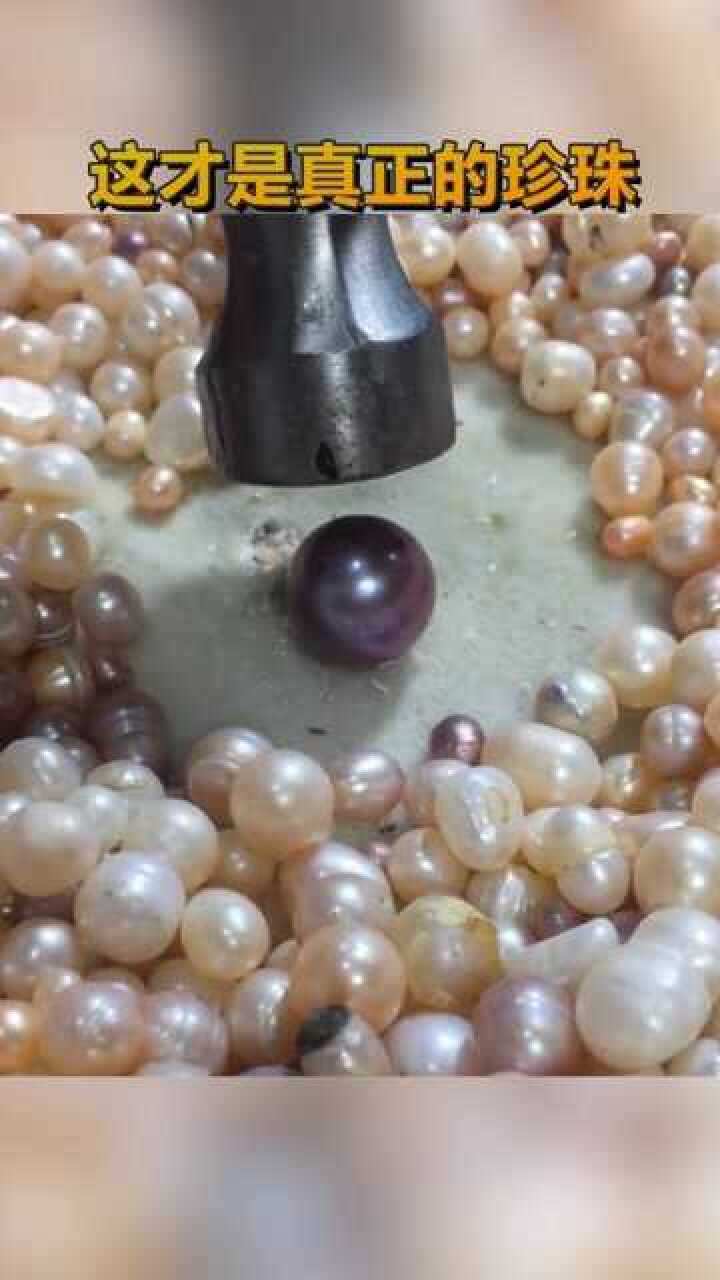 见识一下什么才是真正的珍珠砸开之后里面是这样的真心是长见识了