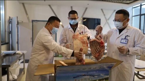 江苏援鄂医生将蒙古赠送羊转赠80名病人：他们比自己更需要补身体