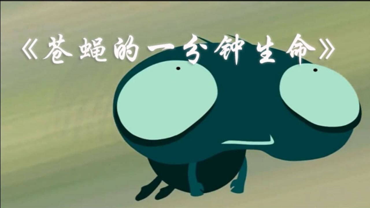 苍蝇的一分钟生命