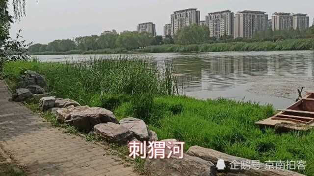 北京良乡刺猬河夏天风景太美了