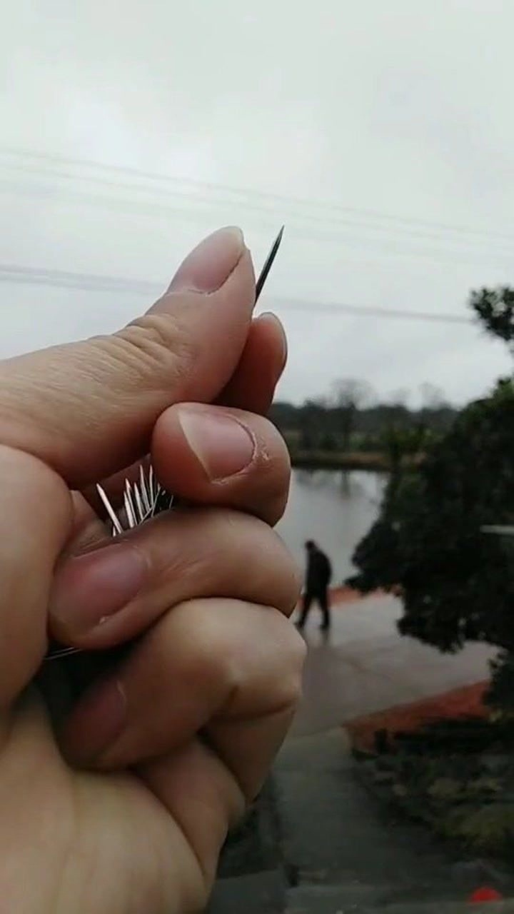 甲鱼的针怎么绑才能牢固?