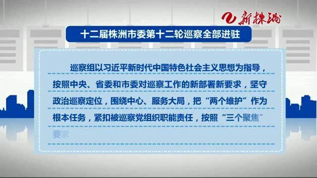 十二届株洲市委第十二轮巡察全部进驻 联系方式公布