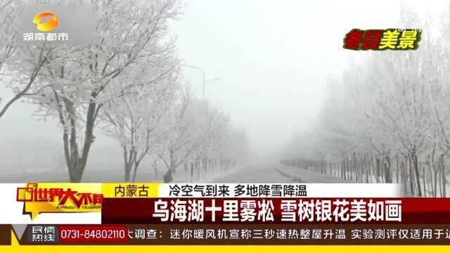 乌海湖十里雾凇 雪树银花美如画 宛若仙境快来一饱眼福!