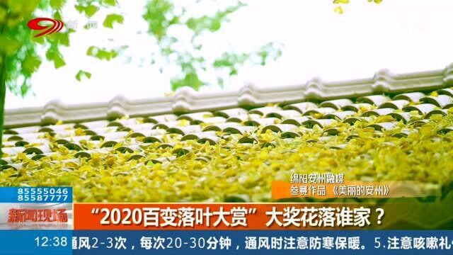 “2020百变落叶大赏”四川创意大赛,最终成绩新鲜出炉!