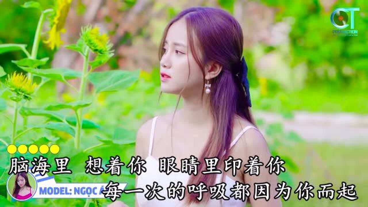 魏新雨百花香dj版美女写真