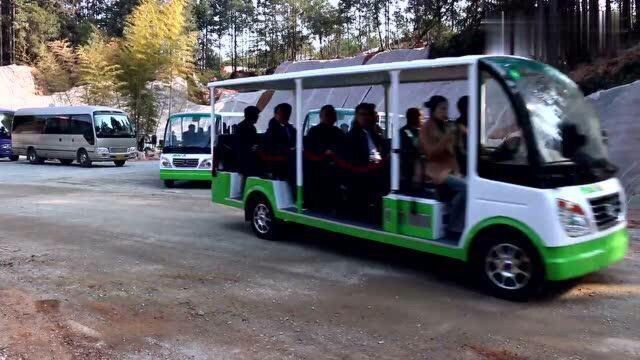 蒂森燃油观光车景区汽油观光车