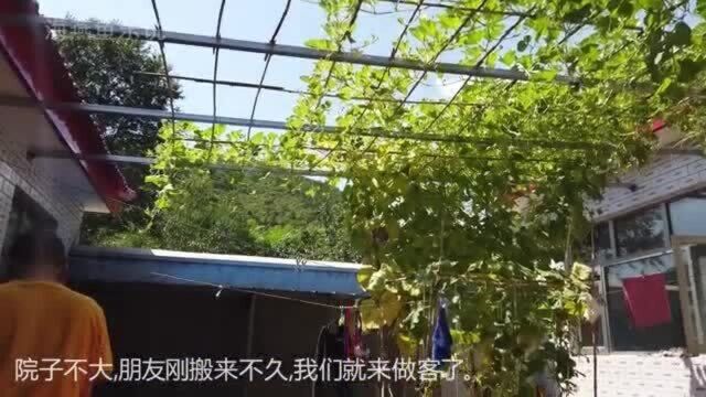 两万块钱一年在北京郊区租的小院,居然还有人说这是亏本!